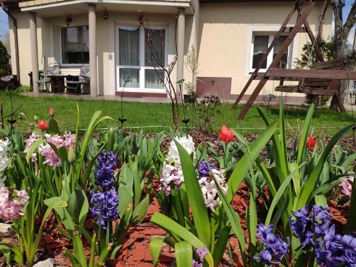 Pod Skrzydlami Podlasia Homestay *